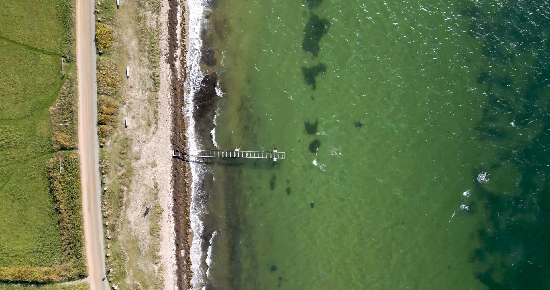 Dronefoto lodret ned over en kystvej, smal strand, badebro og grønt lavvandet hav
